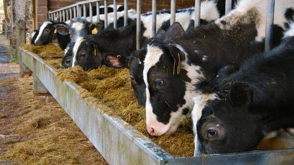 Herd Tasks: Your weekly farming checklist